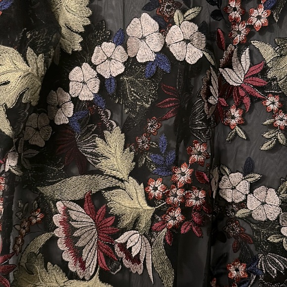 Beautiful Embroidered Zara sheer t-shirt dress. - Picture 3 of 3